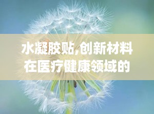 水凝胶贴,创新材料在医疗健康领域的应用与前景展望”