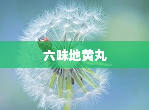 六味地黄丸