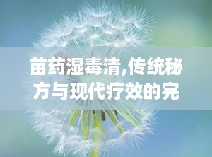 苗药湿毒清,传统秘方与现代疗效的完美结合”
