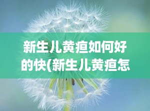 新生儿黄疸如何好的快(新生儿黄疸怎样好的快)