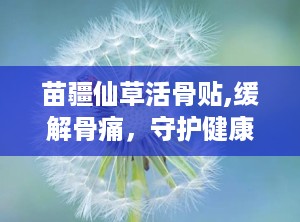 苗疆仙草活骨贴,缓解骨痛，守护健康生活新选择”