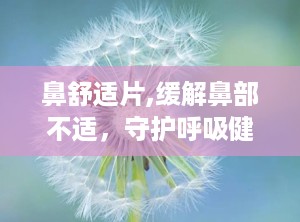 鼻舒适片,缓解鼻部不适，守护呼吸健康