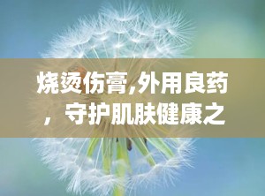 烧烫伤膏,外用良药，守护肌肤健康之道”