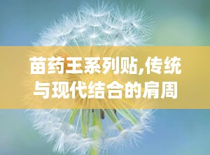 苗药王系列贴,传统与现代结合的肩周炎辅助治疗新选择”