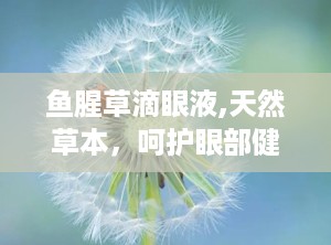 鱼腥草滴眼液,天然草本，呵护眼部健康的新选择