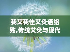 我艾我佳艾灸通络贴,传统艾灸与现代科技的完美融合