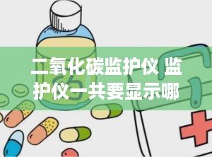 二氧化碳监护仪 监护仪一共要显示哪几个参数
