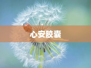 心安胶囊