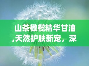 山茶橄榄精华甘油,天然护肤新宠，深层滋养肌肤的秘密