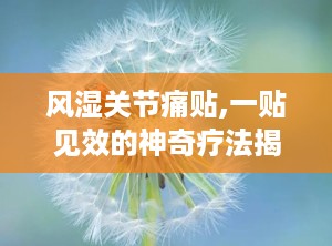 风湿关节痛贴,一贴见效的神奇疗法揭秘