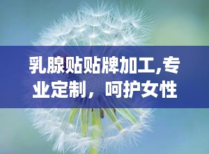 乳腺贴贴牌加工,专业定制，呵护女性健康之美