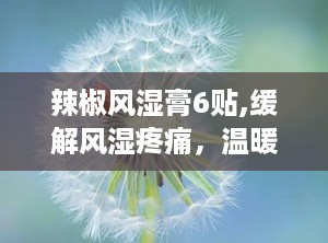 辣椒风湿膏6贴,缓解风湿疼痛，温暖关节守护者