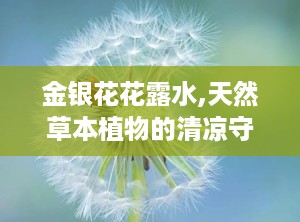 金银花花露水,天然草本植物的清凉守护者