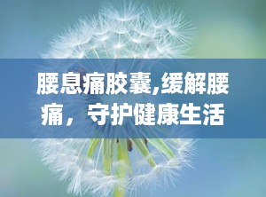 腰息痛胶囊,缓解腰痛，守护健康生活