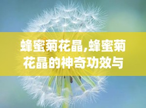 蜂蜜菊花晶,蜂蜜菊花晶的神奇功效与饮用指南