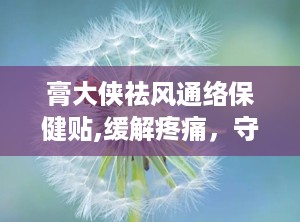 膏大侠祛风通络保健贴,缓解疼痛，守护健康生活