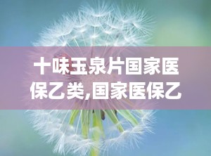十味玉泉片国家医保乙类,国家医保乙类药品，守护健康的选择