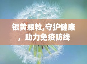 银黄颗粒,守护健康，助力免疫防线