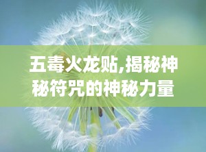 五毒火龙贴,揭秘神秘符咒的神秘力量