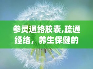 参灵通络胶囊,疏通经络，养生保健的天然良方