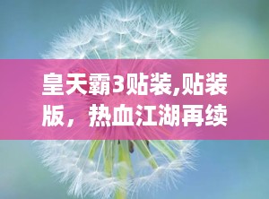 皇天霸3贴装,贴装版，热血江湖再续传奇