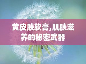 黄皮肤软膏,肌肤滋养的秘密武器