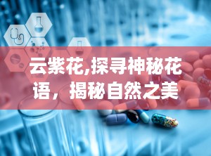 云紫花,探寻神秘花语，揭秘自然之美