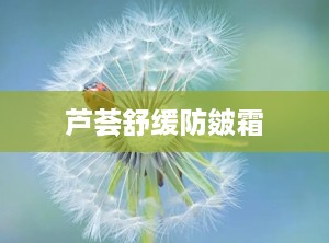 芦荟舒缓防皴霜