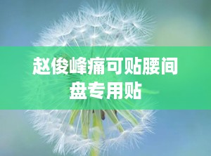 赵俊峰痛可贴腰间盘专用贴