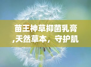 苗王神草抑菌乳膏,天然草本，守护肌肤健康的新选择