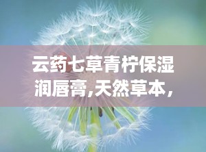 云药七草青柠保湿润唇膏,天然草本，清新保湿，唇部呵护新选择