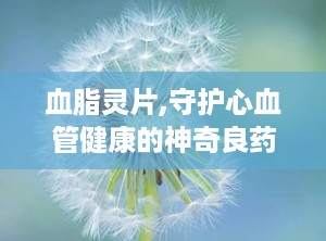 血脂灵片,守护心血管健康的神奇良药