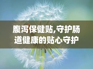 腹泻保健贴,守护肠道健康的贴心守护者