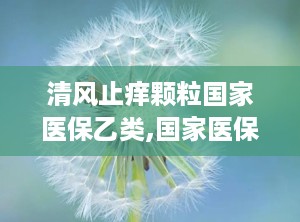 清风止痒颗粒国家医保乙类,国家医保乙类药品，守护您的肌肤健康
