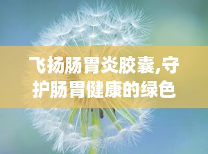 飞扬肠胃炎胶囊,守护肠胃健康的绿色守护神