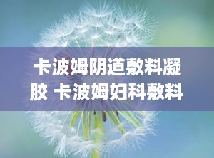 卡波姆阴道敷料凝胶 卡波姆妇科敷料凝胶主治什么