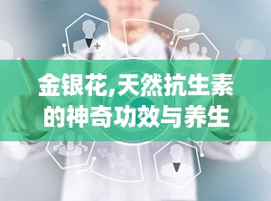 金银花,天然抗生素的神奇功效与养生之道