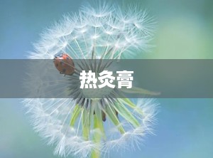 热灸膏