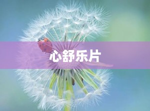 心舒乐片