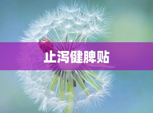 止泻健脾贴