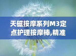 天磁按摩系列M3定点护理按摩棒,精准定点护理，释放身心压力新体验