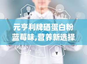元亨利牌硒蛋白粉蓝莓味,营养新选择，健康生活伴侣