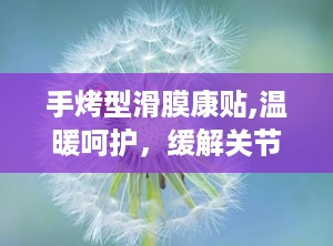 手烤型滑膜康贴,温暖呵护，缓解关节不适的神奇贴剂