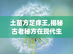 土苗方足痒王,揭秘古老秘方在现代生活中的神奇疗效