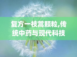 复方一枝蒿颗粒,传统中药与现代科技的结晶，守护健康的新选择