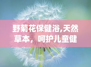 野菊花保健浴,天然草本，呵护儿童健康之道”