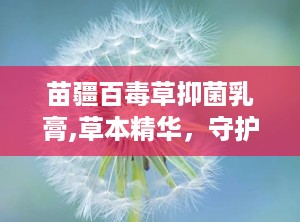 苗疆百毒草抑菌乳膏,草本精华，守护肌肤健康”