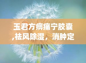 玉君方痹痛宁胶囊,祛风除湿，消肿定痛，中医秘方助力关节健康”