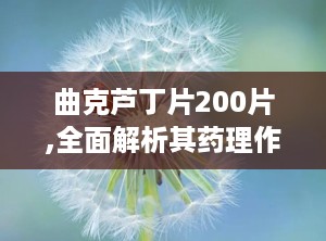 曲克芦丁片200片,全面解析其药理作用、适应症及使用指南