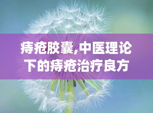 痔疮胶囊,中医理论下的痔疮治疗良方